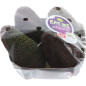 AVOCAT HASS EAT ME 6X4PCS